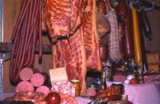 50 Years & Counting!